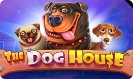 Rich Palms – The Dog House